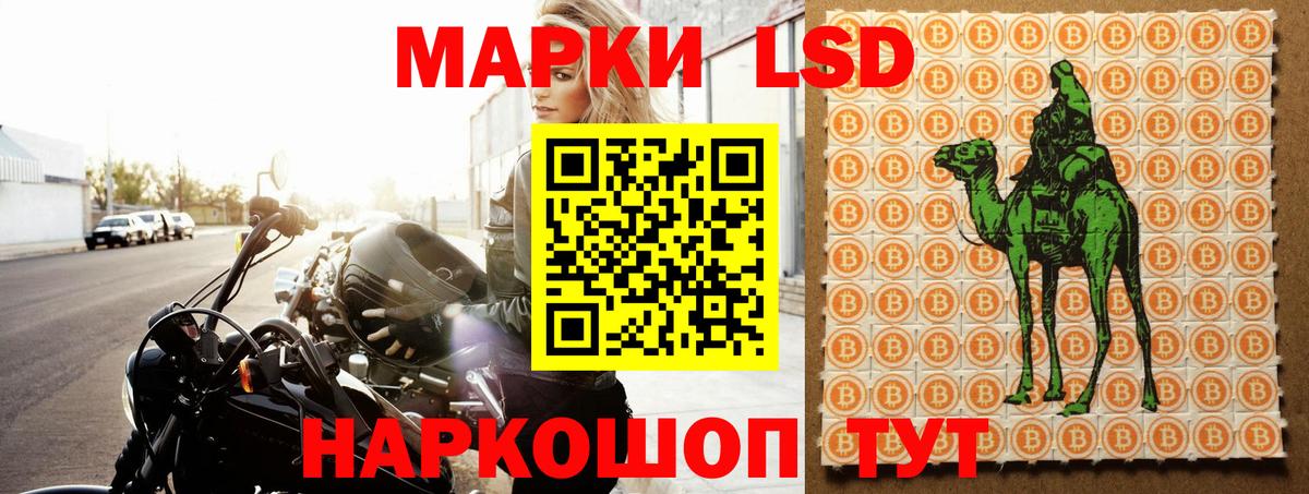 ЛСД экстази ecstasy Заводоуковск