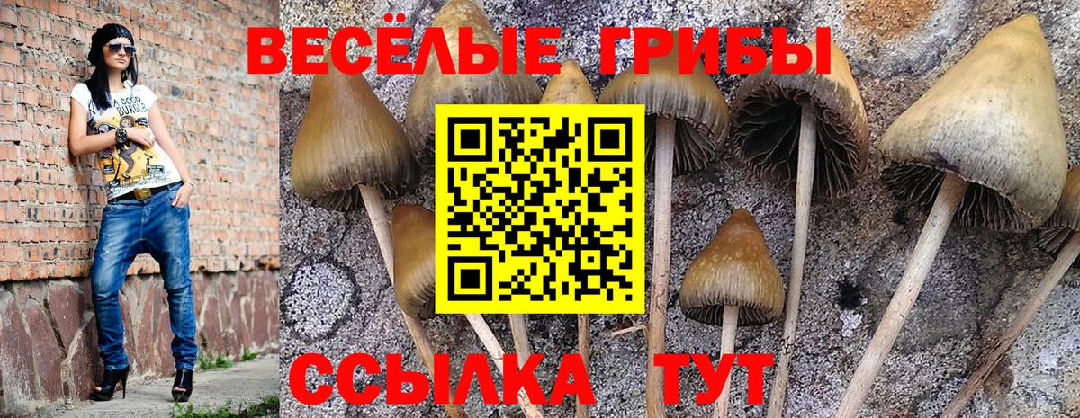 Псилоцибиновые грибы GOLDEN TEACHER  Вход с VPN  Галлюциногенные грибы Magic Shrooms  Заводоуковск 